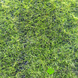 Мох искусственный зеленый H-0,5 см. (1 кв.м.) - Фото1. Купить в розницу