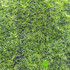 Мох искусственный зеленый H-0,5 см. (1 кв.м.) фото малое1