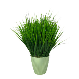 Трава в кашпо для интерьера 30см - Фото. Купить в розницу