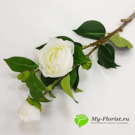Ветка пионовидной розы (белая)
