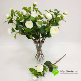 Ветка пионовидной розы (белая) - Фото1. Купить в розницу