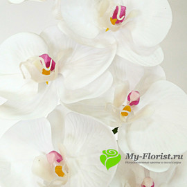 Орхидея латекс 100 см. (Белый с розовым) - Фото2. Купить в розницу