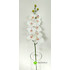 Орхидея латекс 100 см. (Белый с розовым) фото малое1