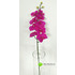 Орхидея латекс 100 см. (Лиловый) фото малое1