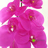 Орхидея латекс 100 см. (Лиловый) фото малое2
