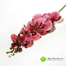 Орхидея КИМОНО силикон 97 см. (Лиловая пестрая)