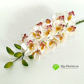 Орхидея цимбидиум 90 см. (Белый с розовым)