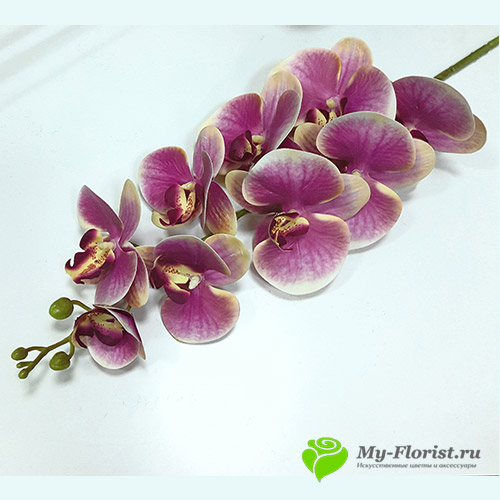 Искусственные орхидеи купить в москве - Орхидея "Кимоно" силикон (Лиловая с желтым кантом)