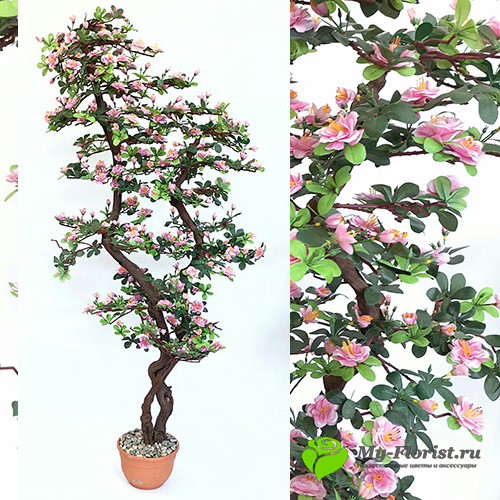 Сакура (Яблоня) дерево 170 см. натуральный ствол купить в интернет-магазине My-Florist.ru