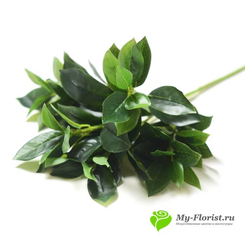 декоративная зелень и листья - Лавр ветка латекс 52см.