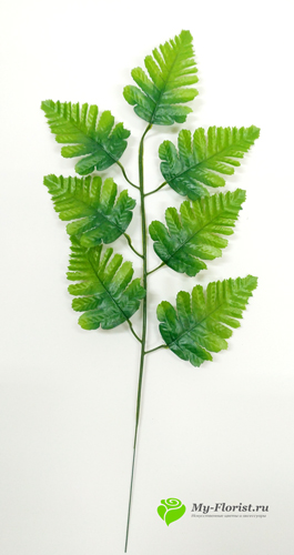 декоративная зелень и листья - Лист папоротника 7 листов
