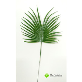 Лист пальмы пластиковый круглый 23 см.