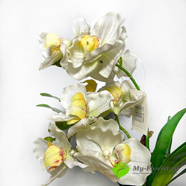Орхидея в кашпо белая H-29см - Фото1. Купить в розницу