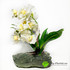 Орхидея в кашпо белая H-29см фото малое
