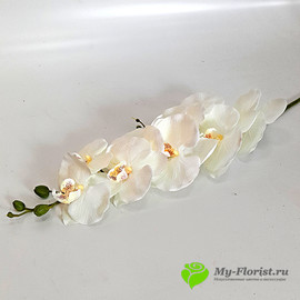 Орхидея бархатная 104 см. (Белая)