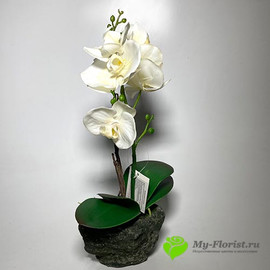 Орхидея лиловая в кашпо H-39 см (Белая)