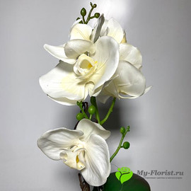 Орхидея лиловая в кашпо H-39 см (Белая) - Фото1. Купить в розницу