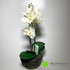 Орхидея лиловая в кашпо H-39 см (Белая) фото малое