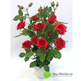 Розы куст в кашпо H-60 см. (красные)