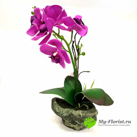 Орхидея лиловая в кашпо H-39 см (Силикон)