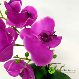 Орхидея лиловая в кашпо H-39 см (Силикон) - Фото1. Купить в розницу