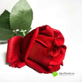 Роза в бутоне РЕАЛИСТИК 55 см. красная