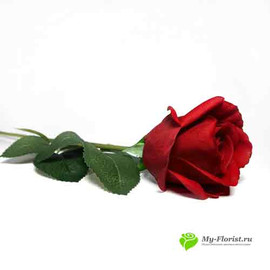Роза в бутоне РЕАЛИСТИК 55 см. красная - Фото1. Купить в розницу