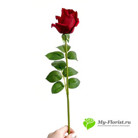 Роза в бутоне РЕАЛИСТИК 55 см. красная - Фото2. Купить в розницу