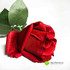 Роза в бутоне РЕАЛИСТИК 55 см. красная фото малое