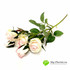 Ветка розы кустовая бело-розовая 43 см фото малое