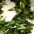 Лиана из листьев традесканции зеленая фото малое1