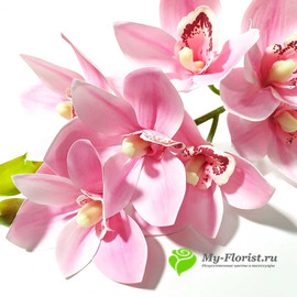 Орхидея ЦИМБИДИУМ латекс 76см. (Розовая) - Фото3. Купить в розницу