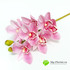 Орхидея ЦИМБИДИУМ латекс 76см. (Розовая) фото малое1