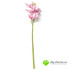 Орхидея ЦИМБИДИУМ латекс 76см. (Розовая) фото малое2