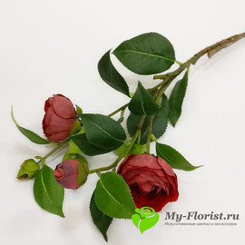 Ветка пионовидной розы (темно-красная)