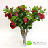 Ветка пионовидной розы (темно-красная) фото малое2