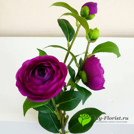 Ветка пионовидной розы (лиловая)