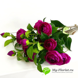 Ветка пионовидной розы (лиловая) - Фото1. Купить в розницу
