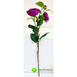 Ветка пионовидной розы (лиловая) - Фото2. Купить в розницу