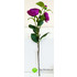 Ветка пионовидной розы (лиловая) фото малое2