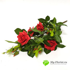 Розы куст ИТАЛИЯ 50 см красный