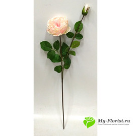 Роза пионовидная ЛЕЙЛА 78см (Персиковая) - Фото2. Купить в розницу