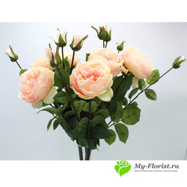 Роза пионовидная ЛЕЙЛА 78см (Персиковая) - Фото3. Купить в розницу