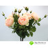 Роза пионовидная ЛЕЙЛА 78см (Персиковая) фото малое3