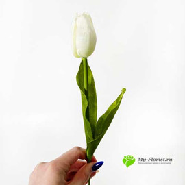 Тюльпан АЛЬБА 40 см Белый - Фото2. Купить в розницу