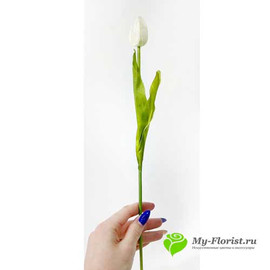 Тюльпан АЛЬБА 40 см Белый - Фото3. Купить в розницу