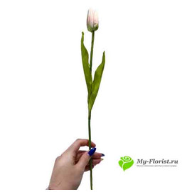 Тюльпан АЛЬБА 40 см Розовый - Фото1. Купить в розницу