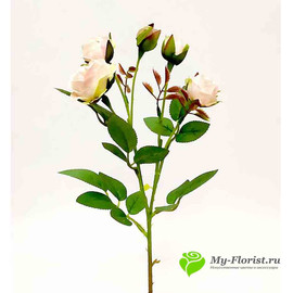 Роза кустовая нежно-розовая НИАГАРА 42см