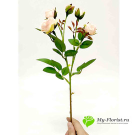 Роза кустовая нежно-розовая НИАГАРА 42см - Фото2. Купить в розницу