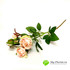 Роза кустовая нежно-розовая НИАГАРА 42см фото малое1